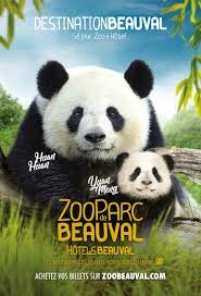 Image panda du Zoo Parc de Beauval à Saint Aignan